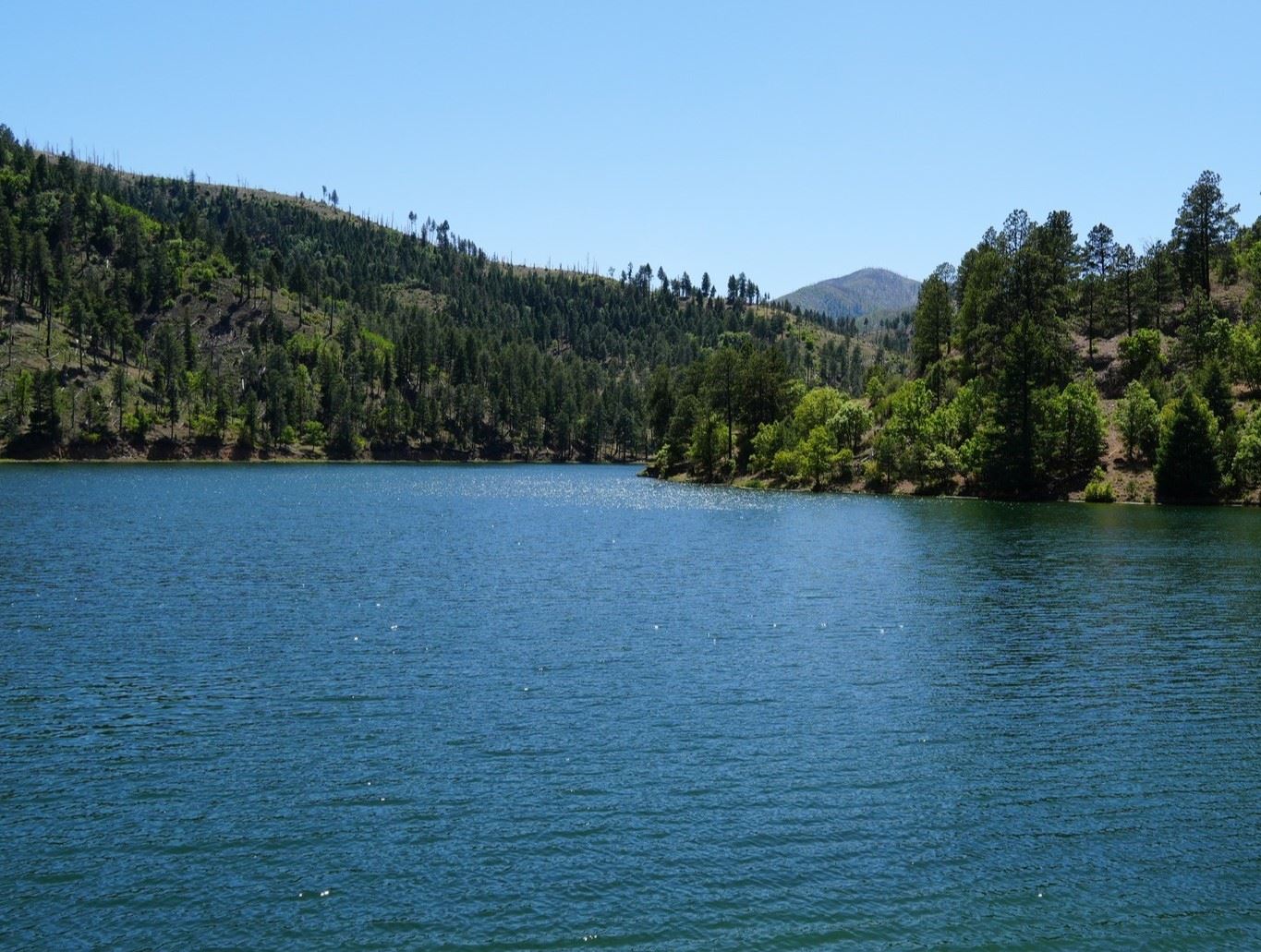 A view of Bonito Lake in the daytime. Photo credit: Melissa Garnett, NMDGF